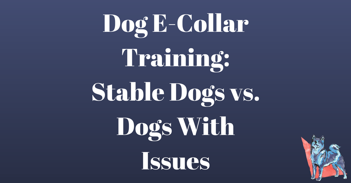 Dog E-Collar Training: Stable Dogs vs. Dogs With Issues