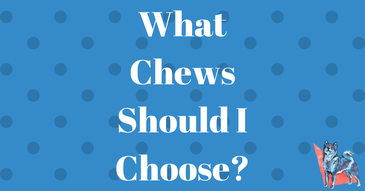 What Chews Should I Choose?