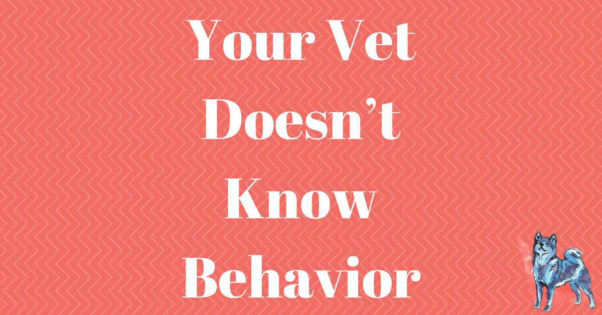 Your Vet Doesn’t Know Behavior
