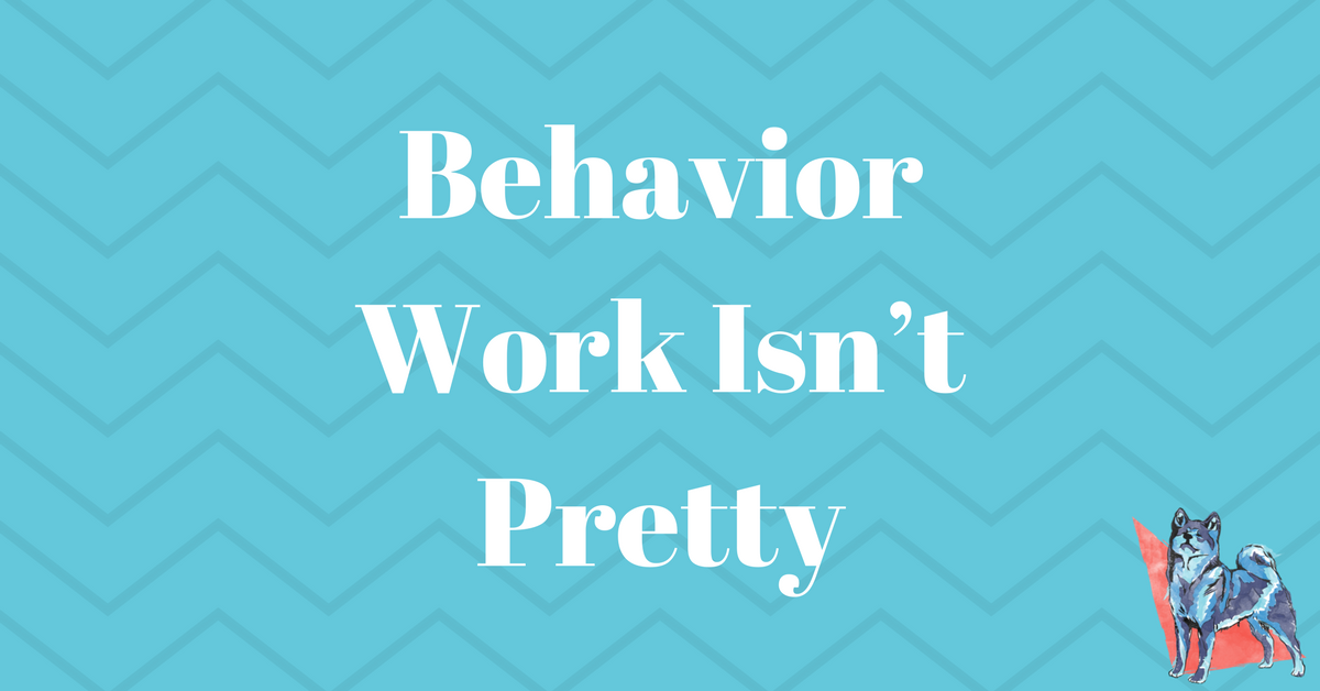 Behavior Work Isn’t Pretty