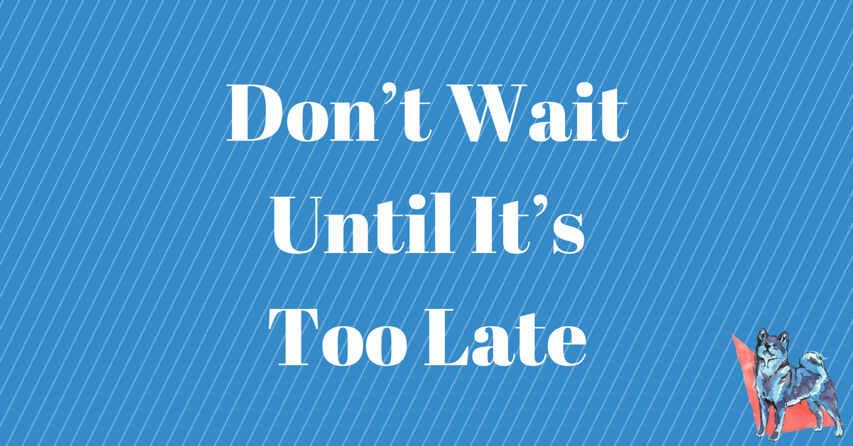 The Dog Training Secret They Don’t Want You To Know