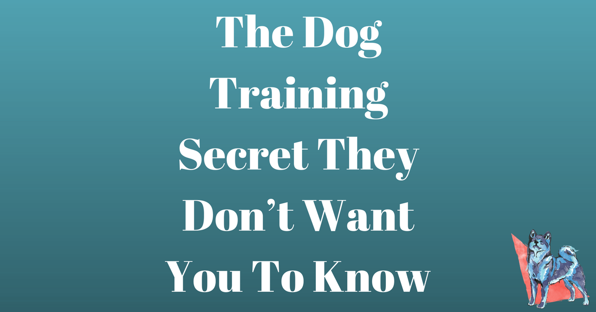 The Dog Training Secret They Don’t Want You To Know