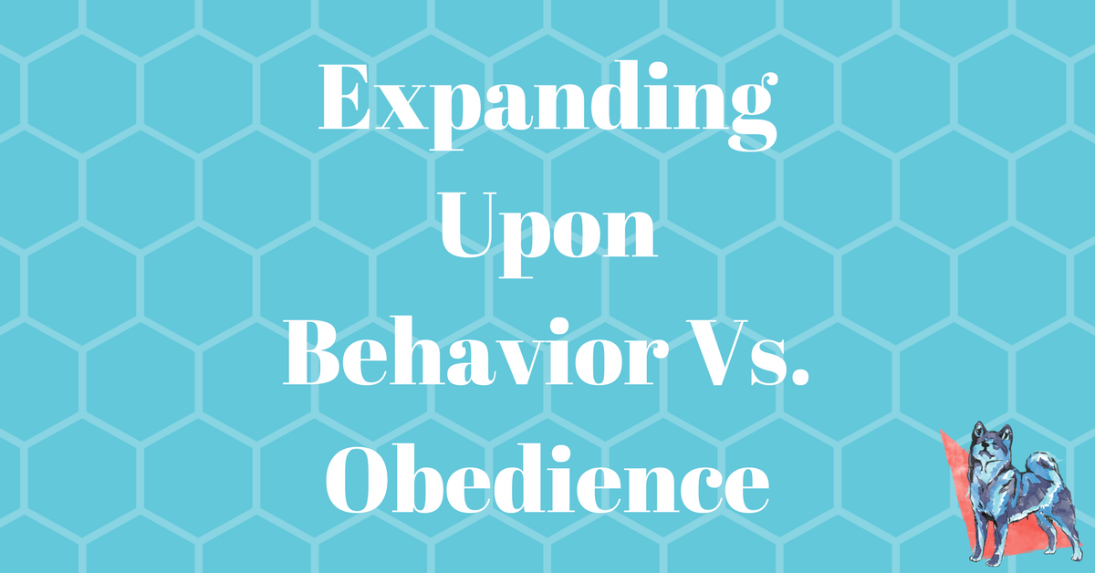 Expanding Upon Behavior Vs. Obedience