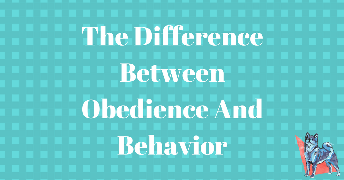 The Difference Between Obedience And Behavior The Difference Between Obedience And Behavior