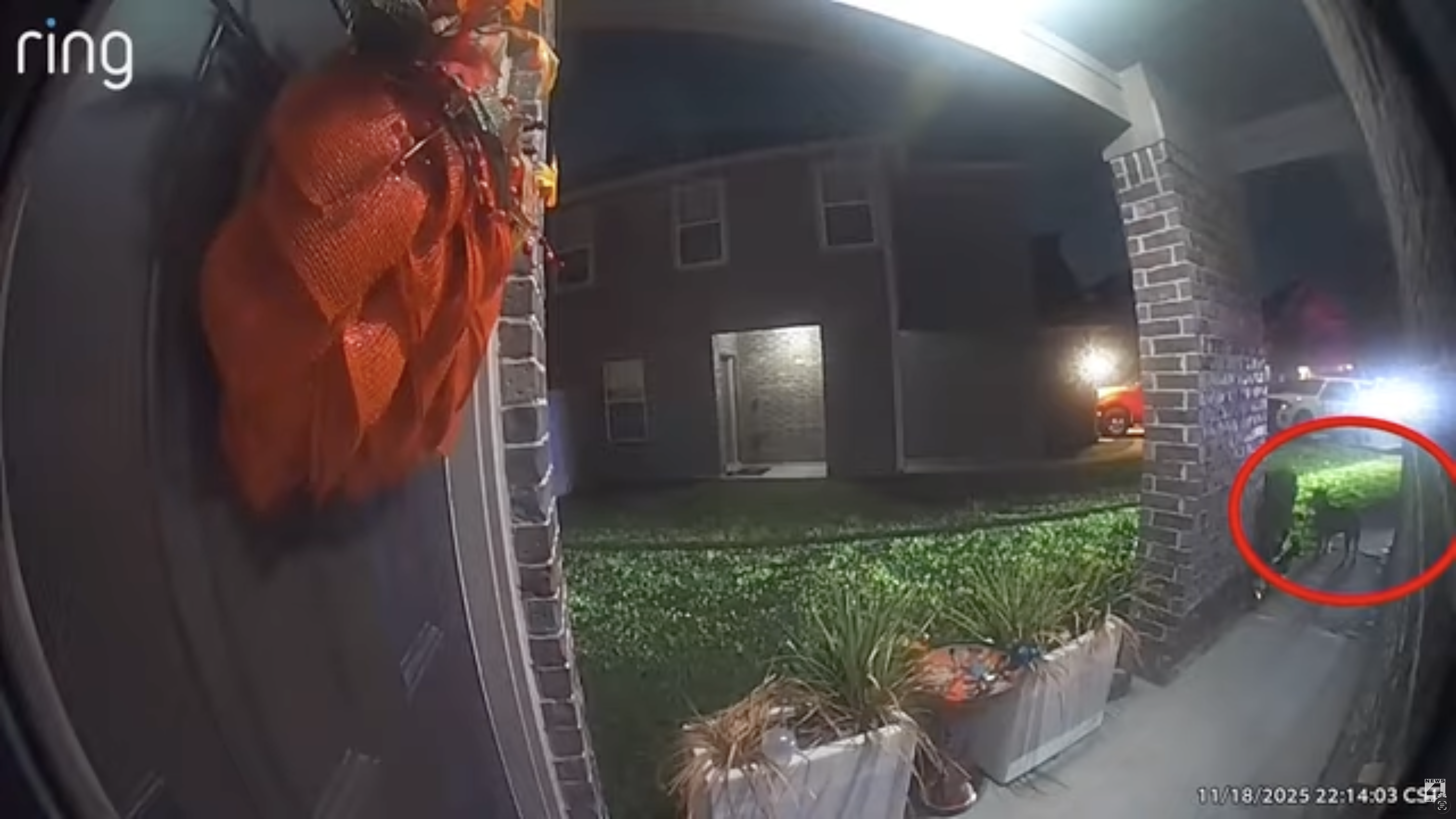 Ring doorbell camera image showing a dog lingering outside a home's front door after a reported dog attack, highlighting front door safety and dog bite prevention.