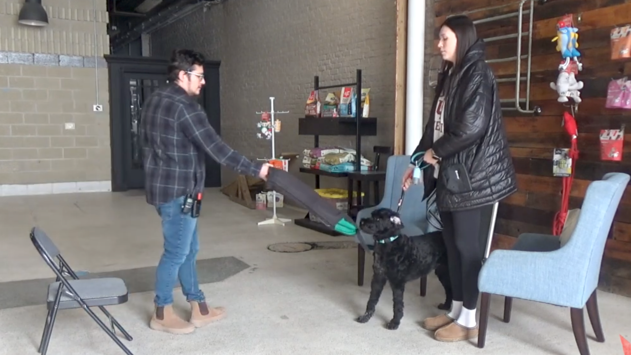 Professional dog trainer evaluating a reactive dog during a behavior consultation while the owner observes, demonstrating leash handling and canine body language assessment.