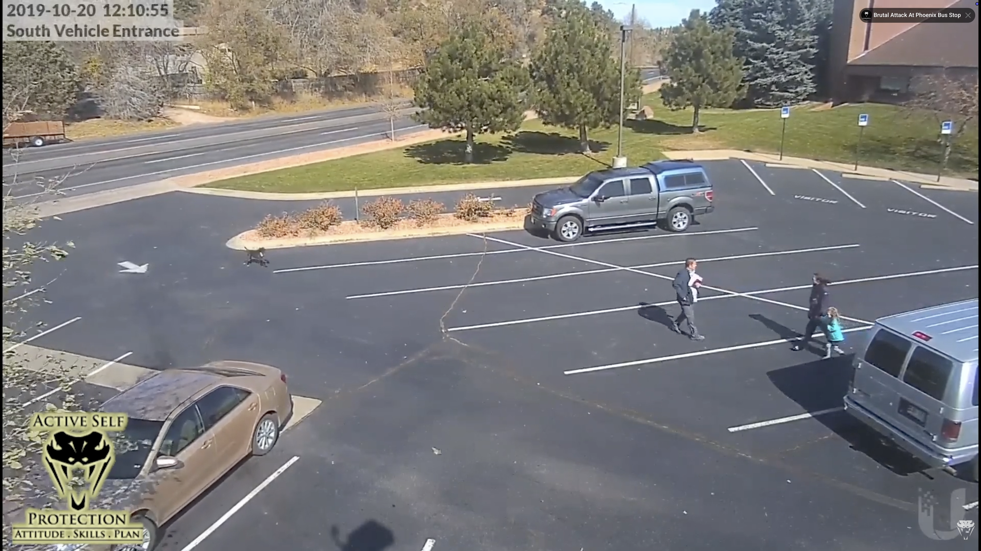 Security camera footage showing a family reacting as an off-leash dog rapidly approaches in a parking lot, illustrating the importance of quick decision-making and child protection during a potential dog attack.