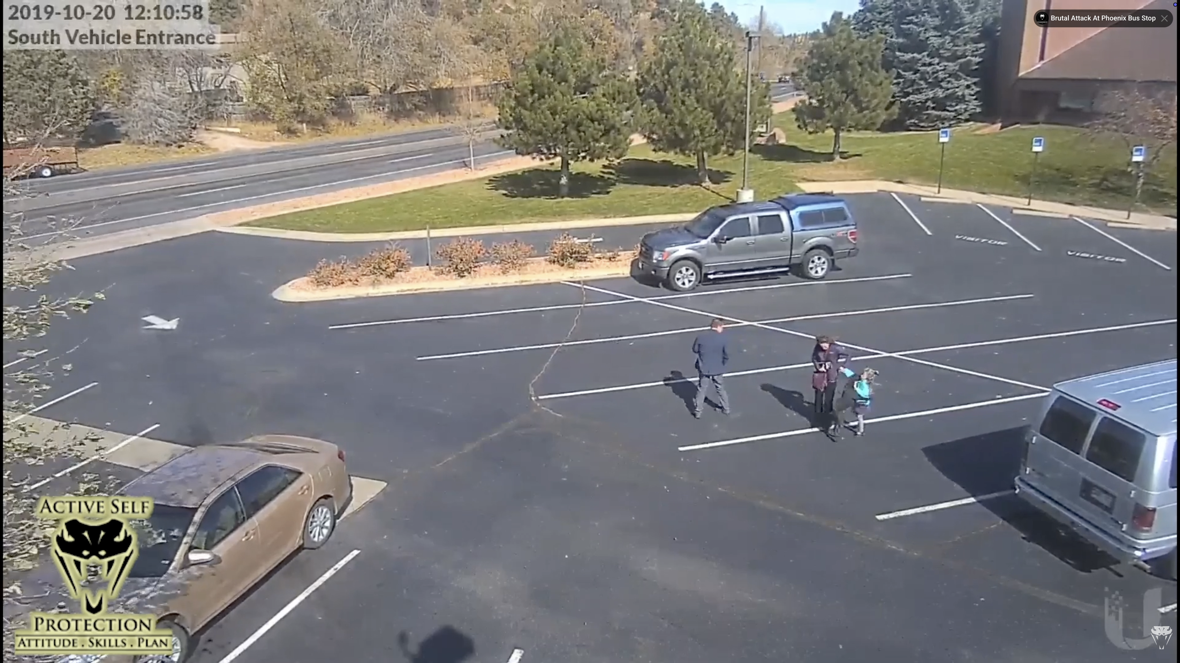 Security camera footage captures the critical moments before an off-leash dog approaches a family in a parking lot. Recognizing potential danger early and maintaining environmental awareness can provide valuable seconds to protect children and respond more effectively during a dog attack.