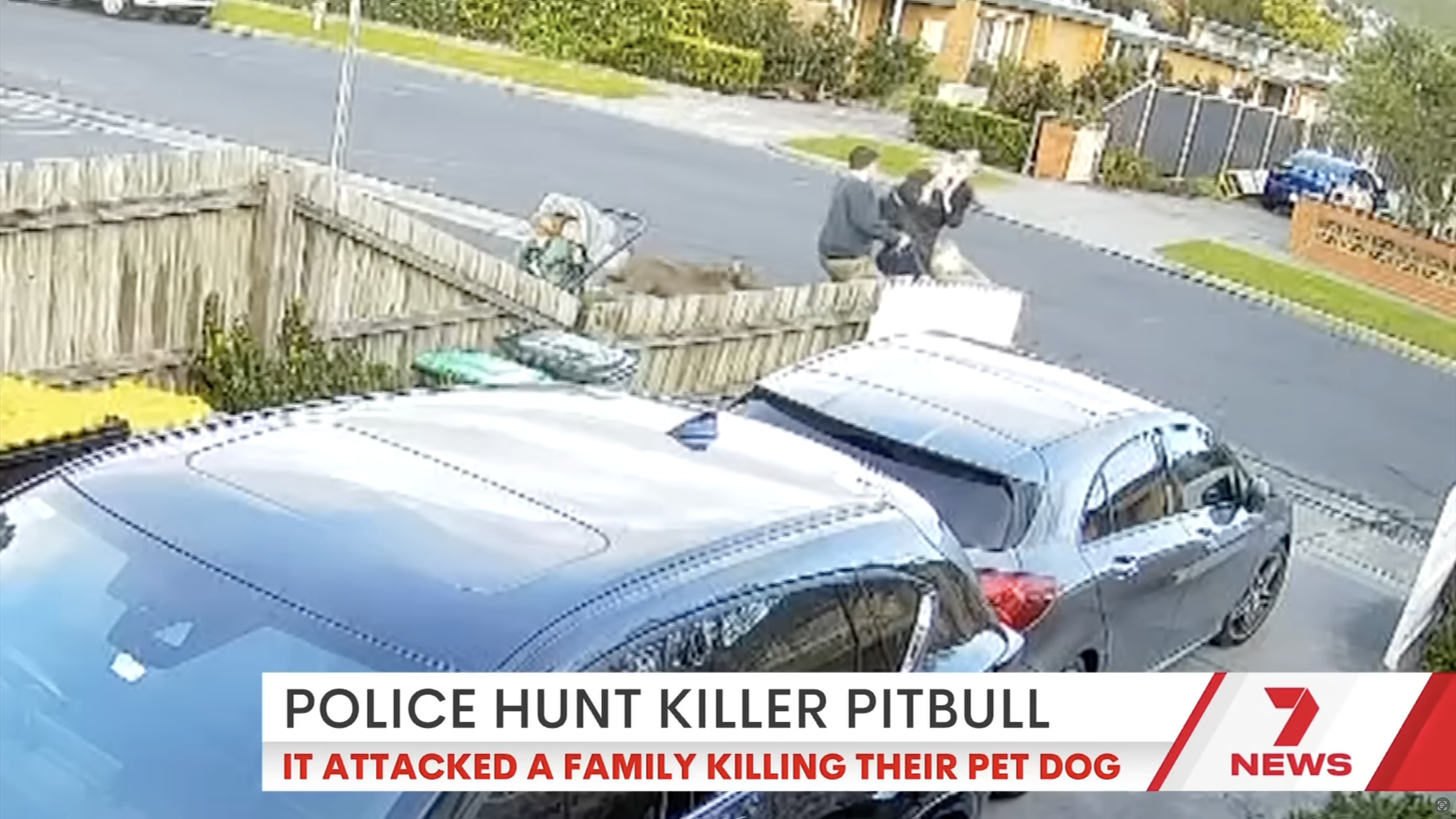 Security camera footage showing an off-leash pit bull attacking a family's pet dog while adults and a child attempt to intervene, highlighting the dangers of uncontrolled dogs and the importance of dog attack prevention.