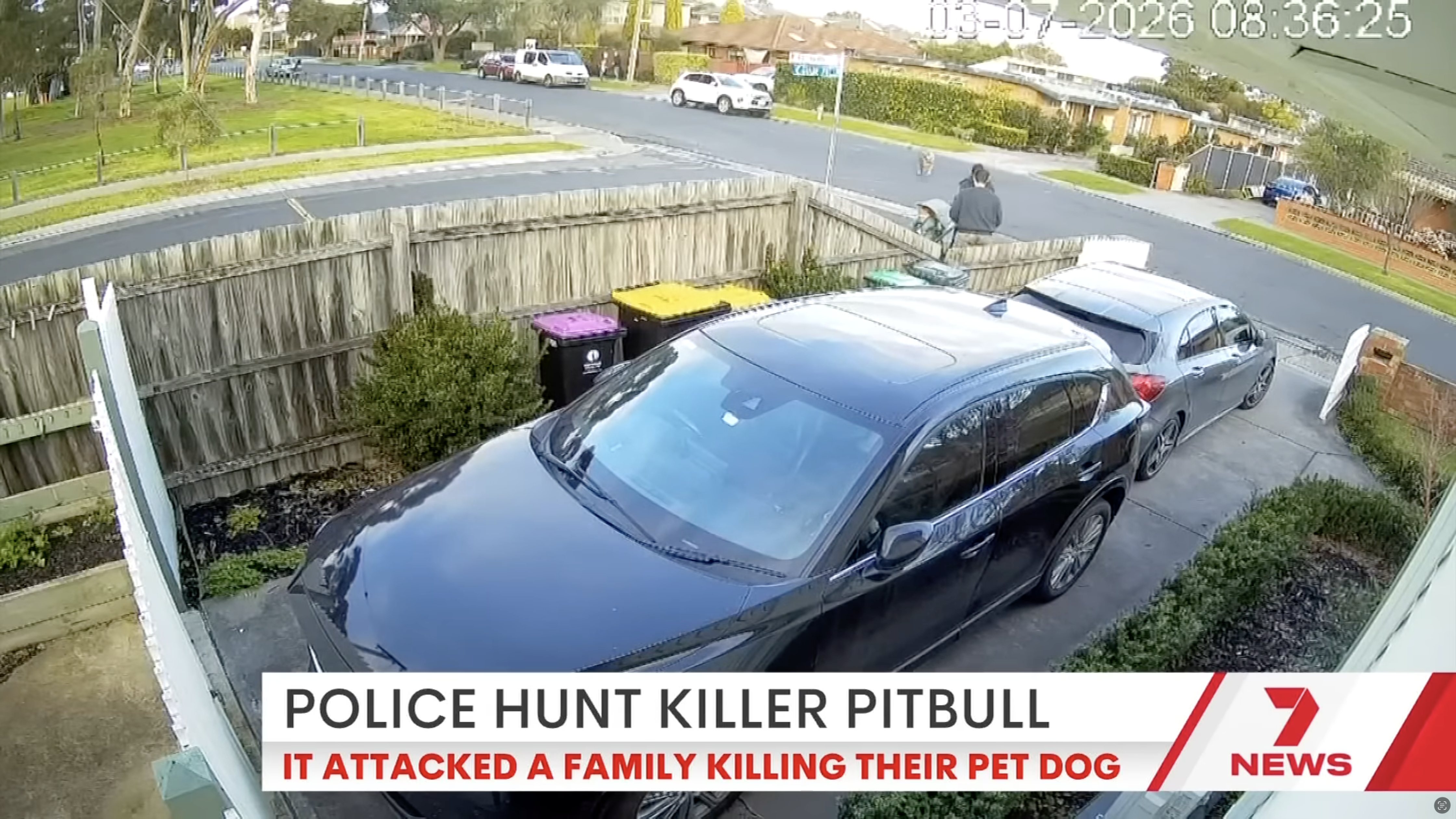 Security camera footage showing a loose dog approaching a family with a stroller and pet dog in a residential neighborhood, demonstrating the importance of environmental awareness and early recognition before a potential dog attack.