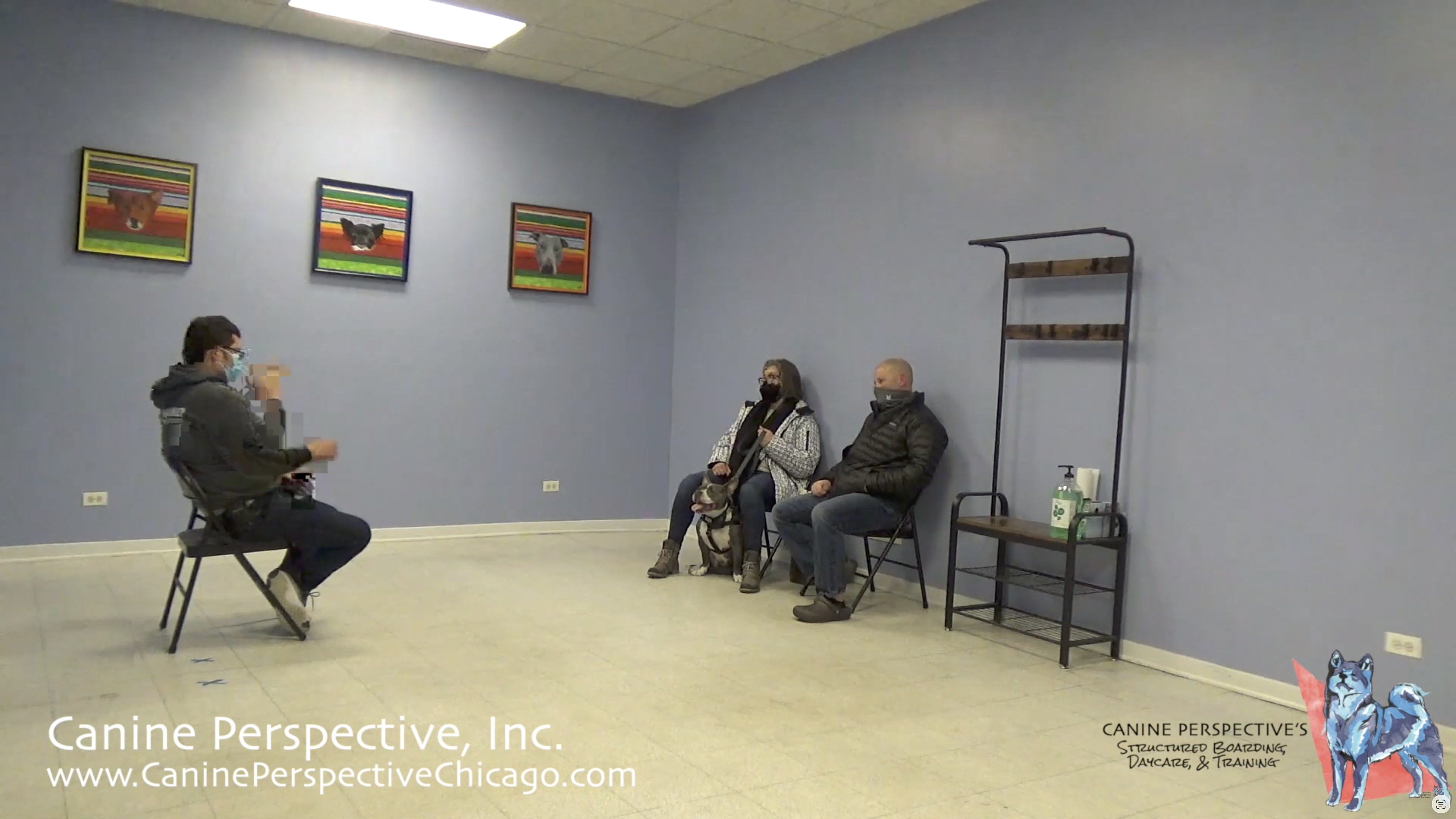 Dog trainer discussing a customized behavior modification plan with the owners of a reactive rescue dog during a consultation at Canine Perspective.