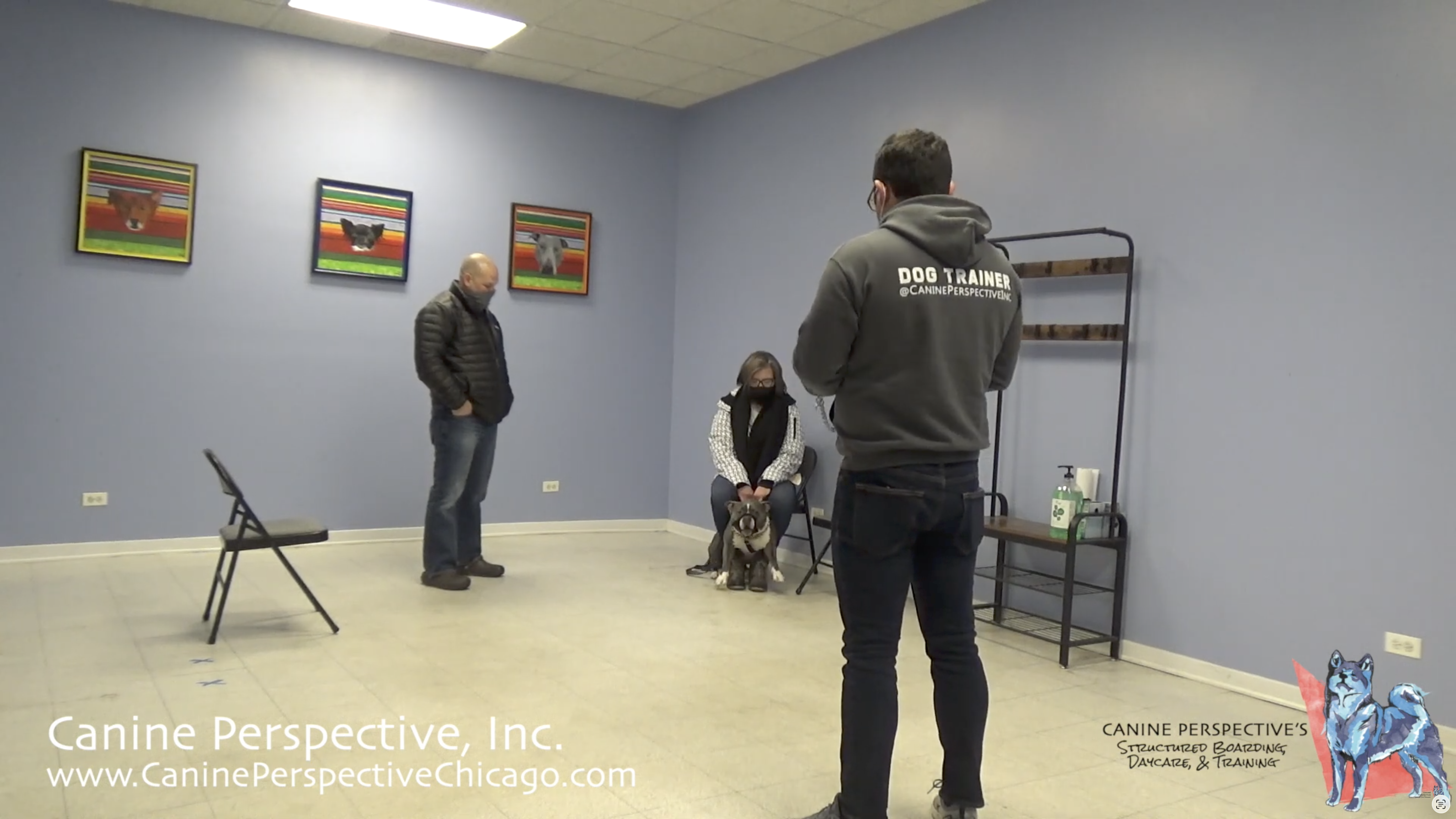 A behavior consultation with Doug the human and dog reactive pit bull where he is displaying his reactivity.