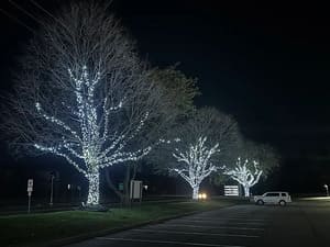 Gutter Cleaning in Canton, MI