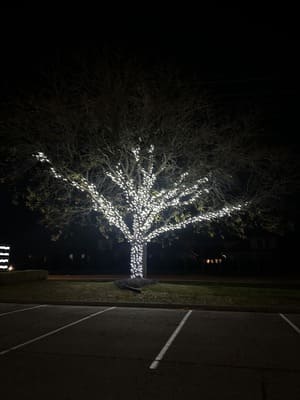 cleaning in Canton, MI