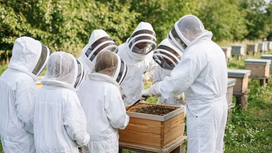 Students in beekeeping suits around a hive at a teaching apiary