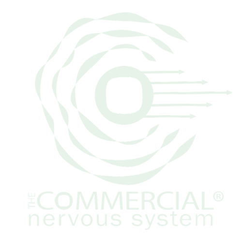 Kirsty Carr founder of The Commercial Nervous System and UK commercial strategy advisor