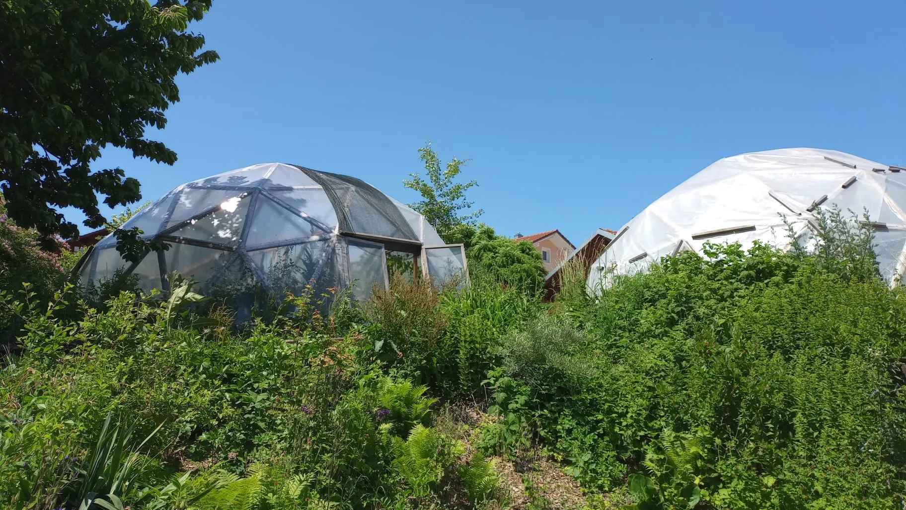 Schaugarten mit Geodomen