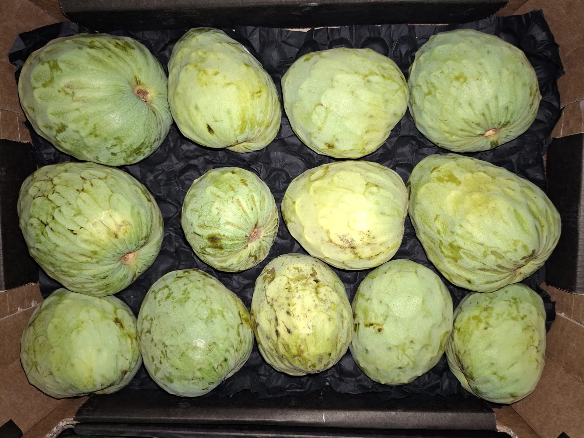 Südfrucht