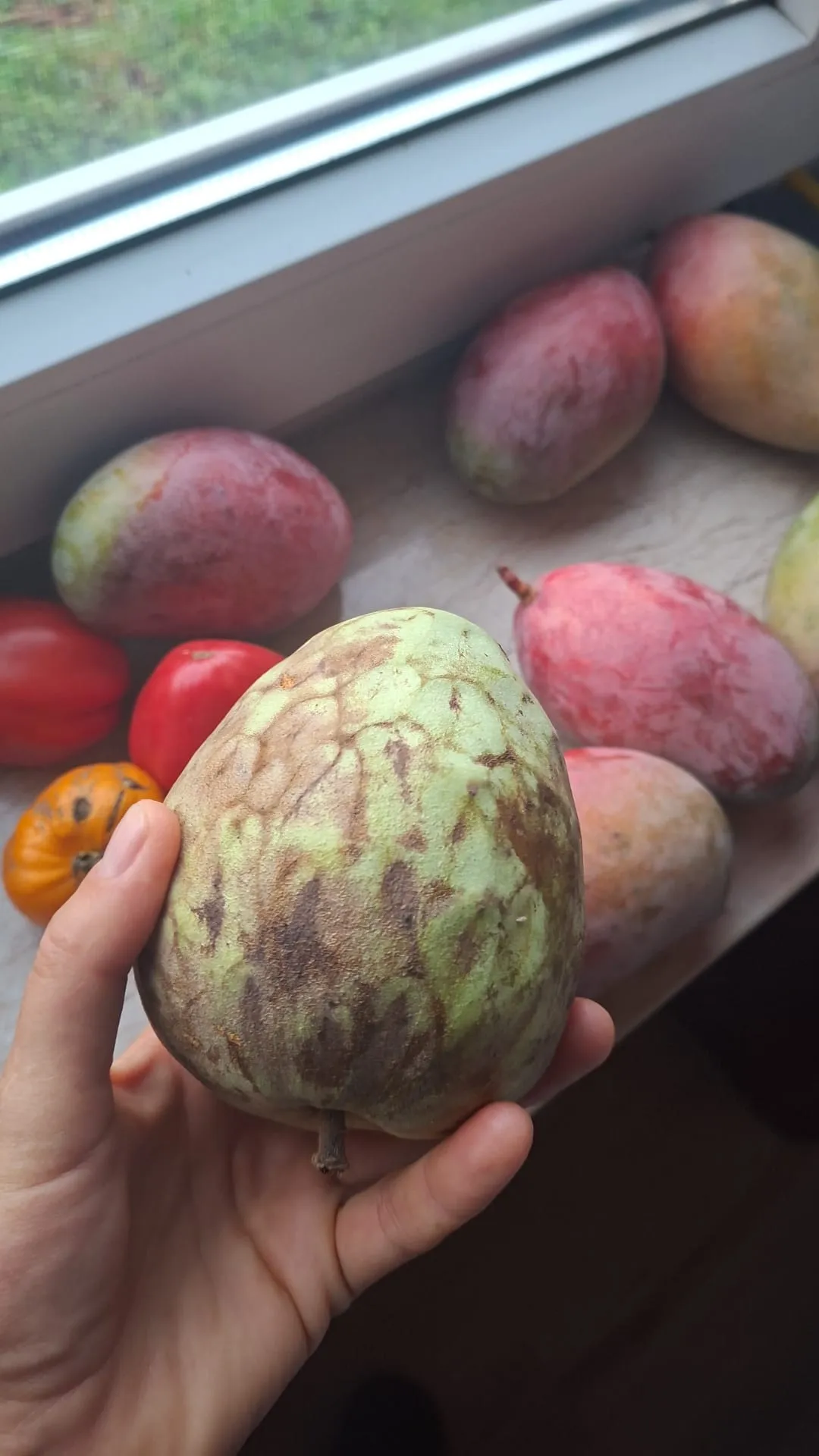 Südfrucht