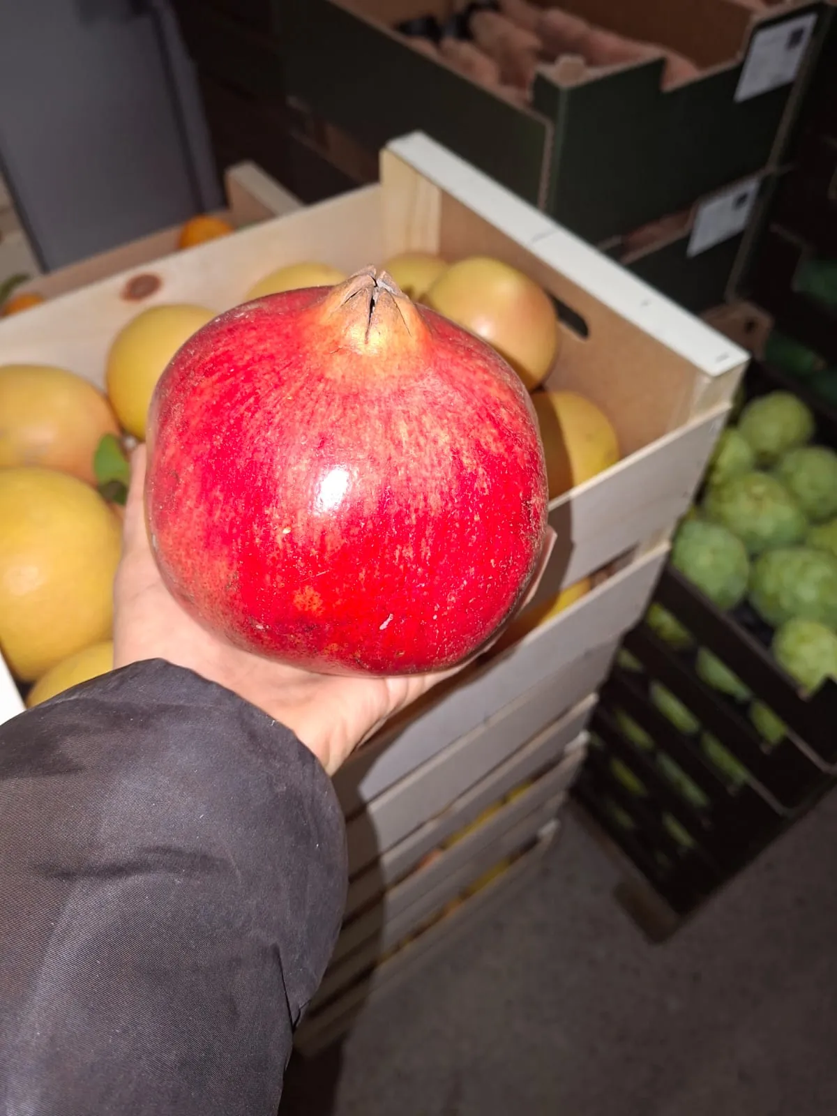 Südfrucht