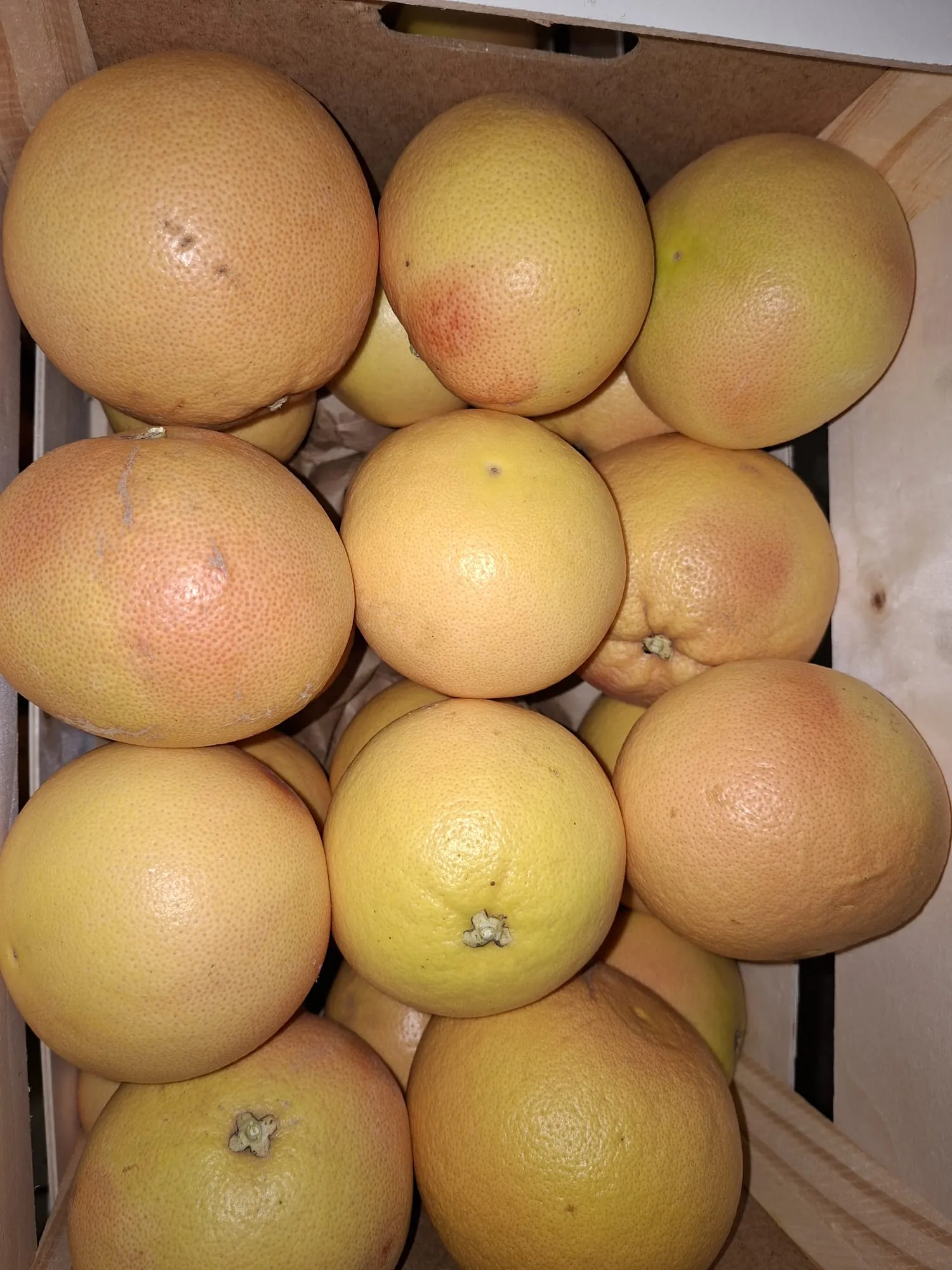 Südfrucht