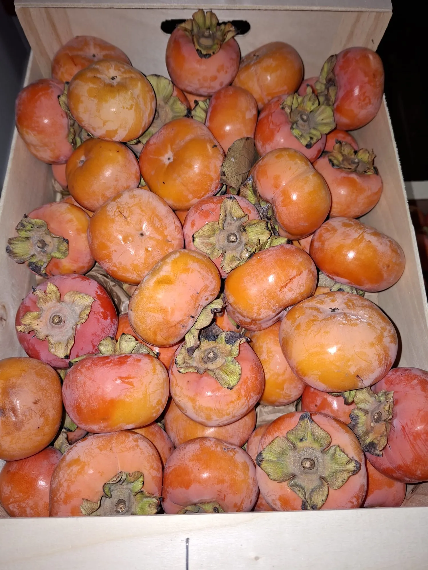 Südfrucht