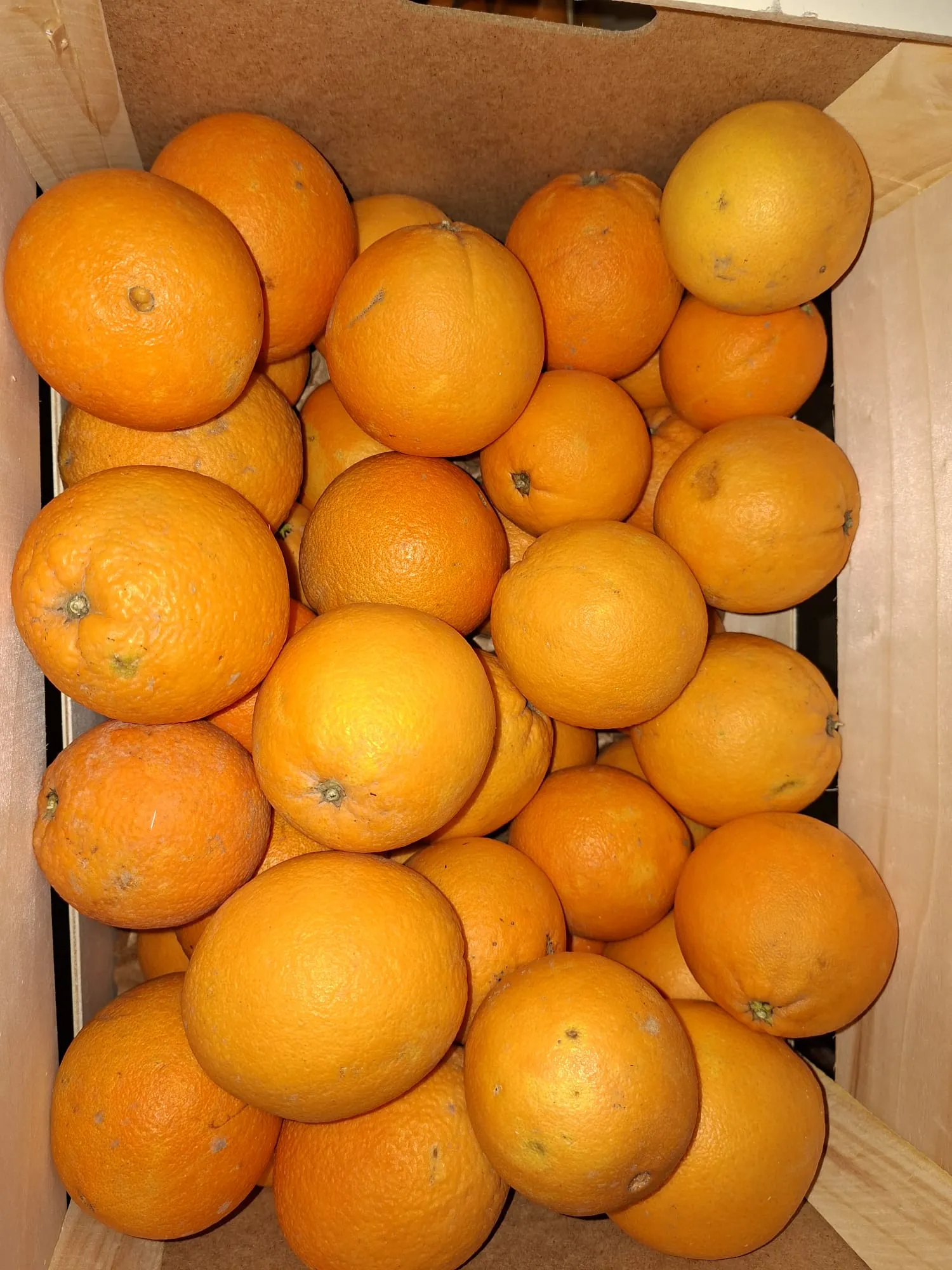 Südfrucht