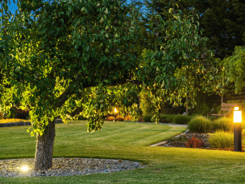 Plant & Tree Installation in Kent