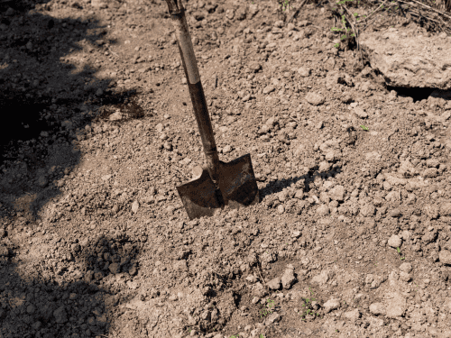 Land Clearing in Kent
