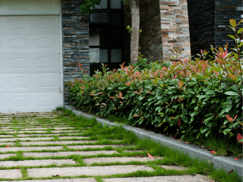 Kent Plant & Tree Installation