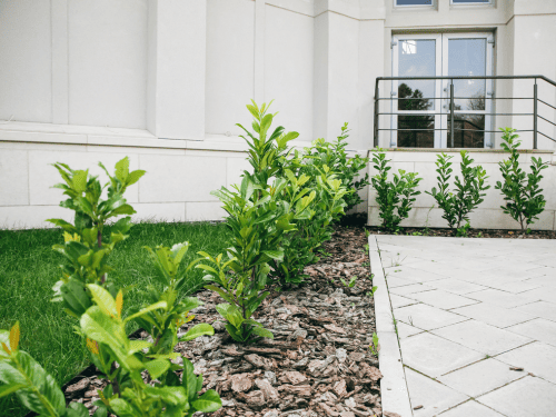 Federal Way Plant & Tree Installation