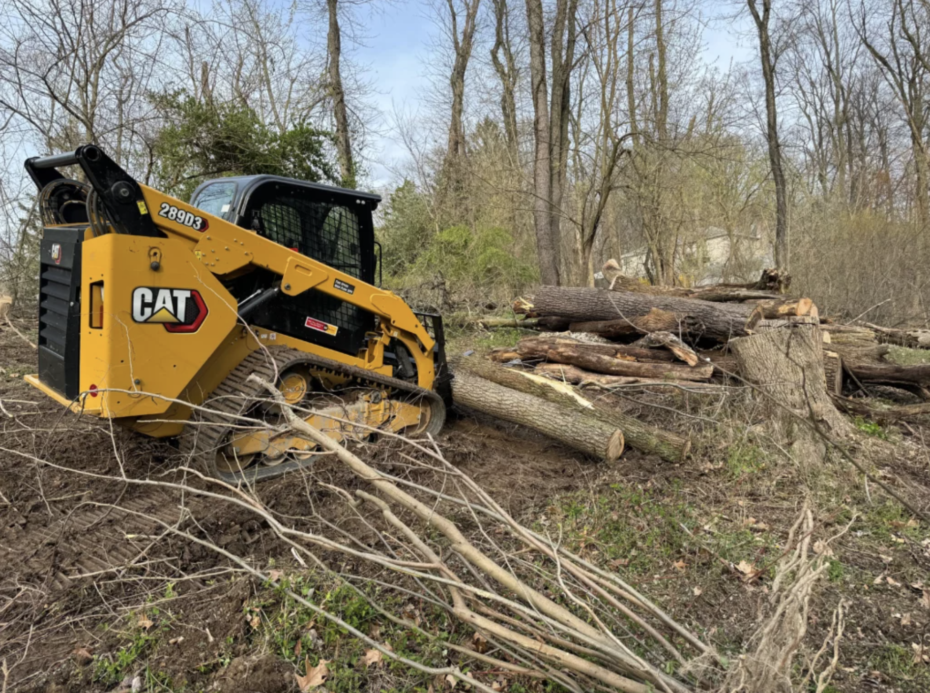 Federal Way Land Clearing