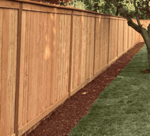 Plant & Tree Installation Kent