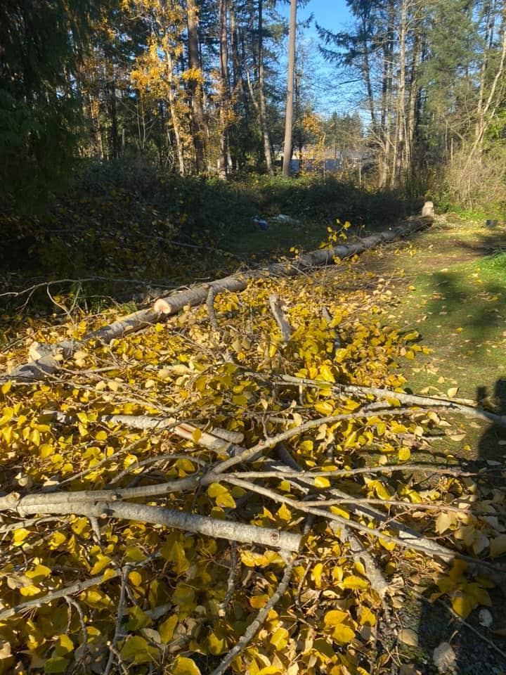 North Seattle Pavers