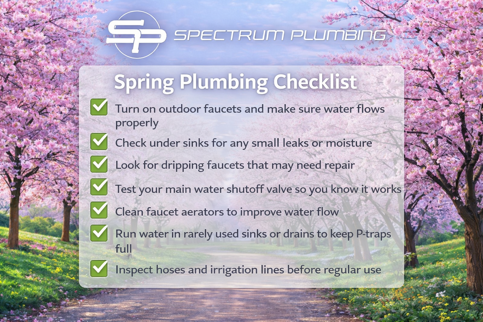 spring plumbing checklist