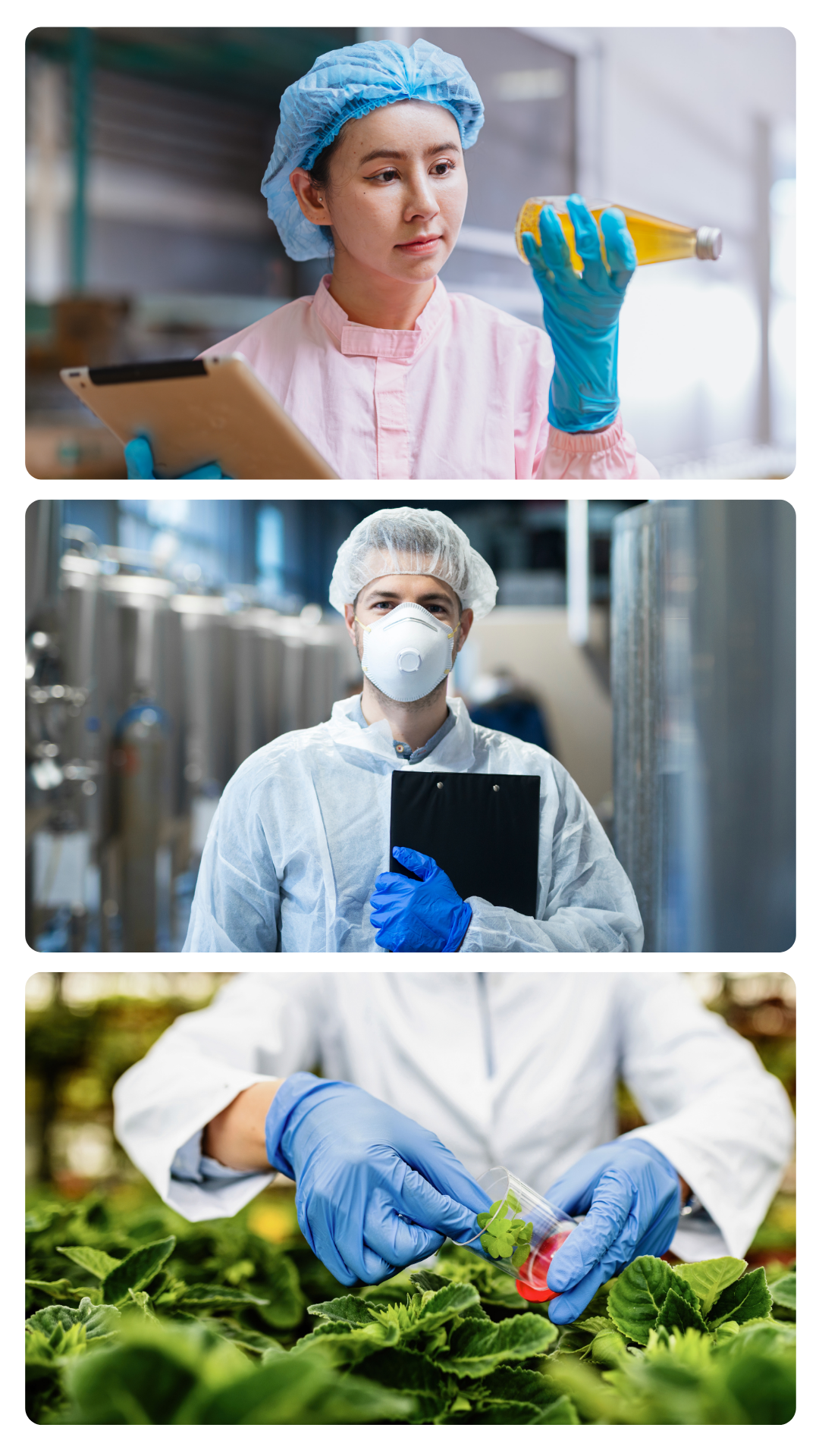 Curso HACCP Alliance