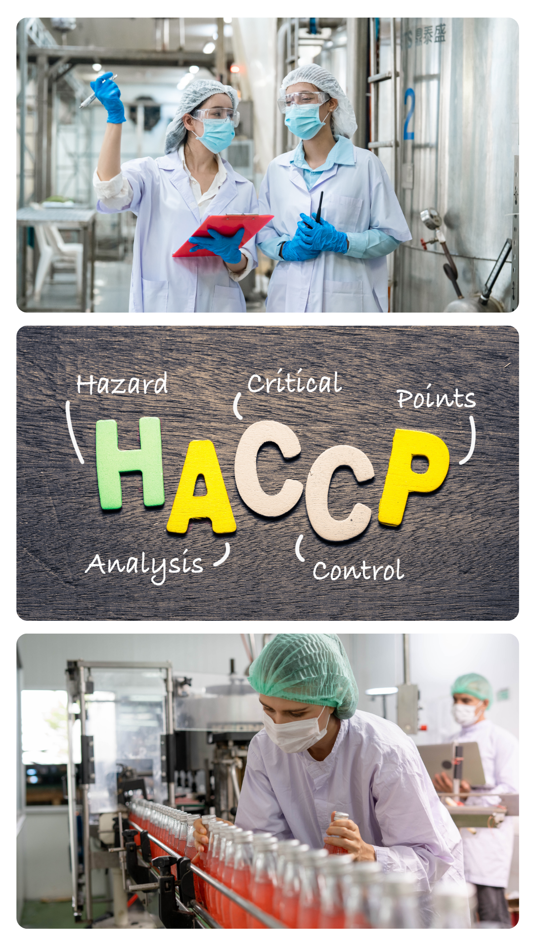 Curso HACCP Alliance