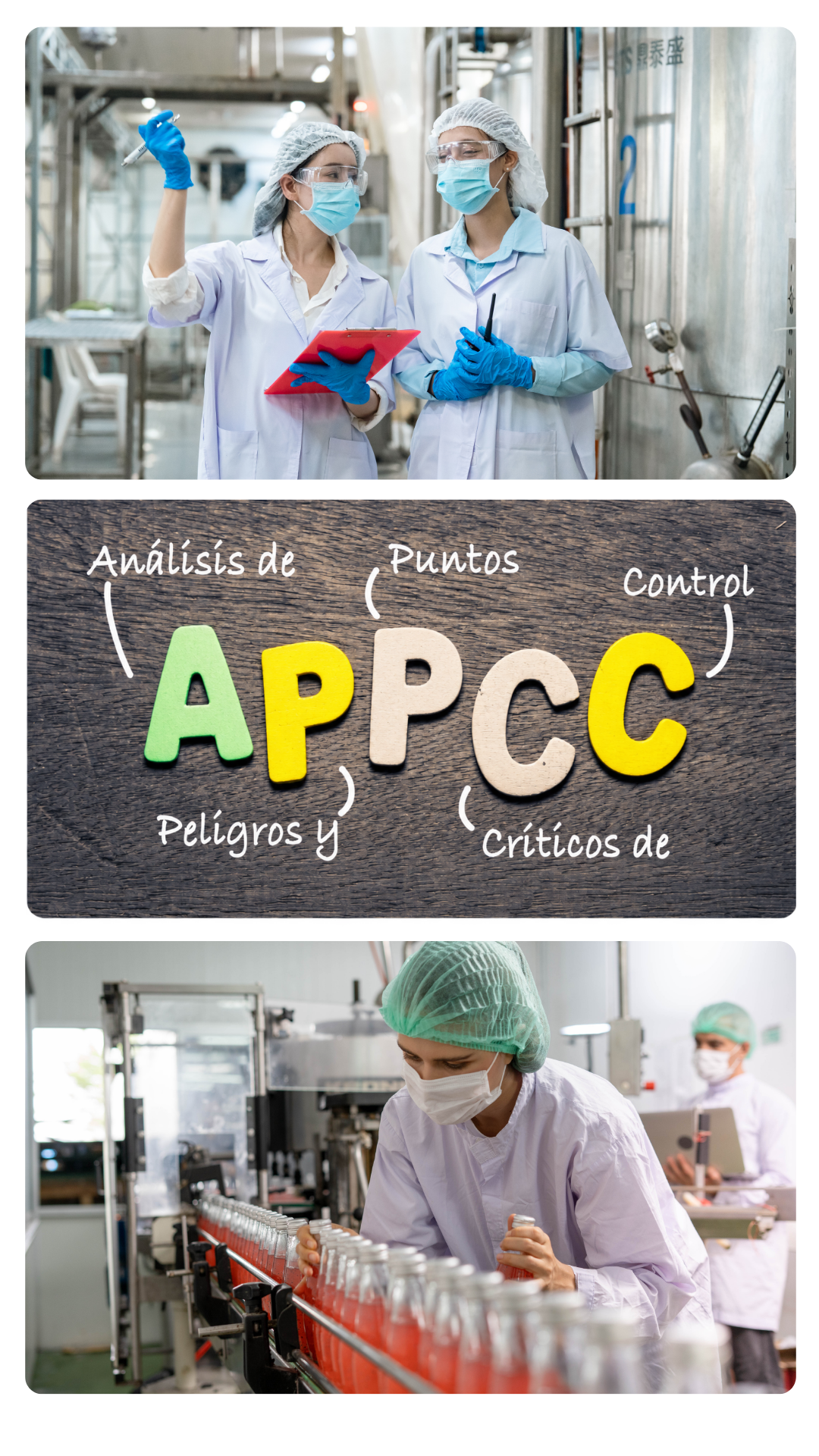 Curso HACCP Alliance