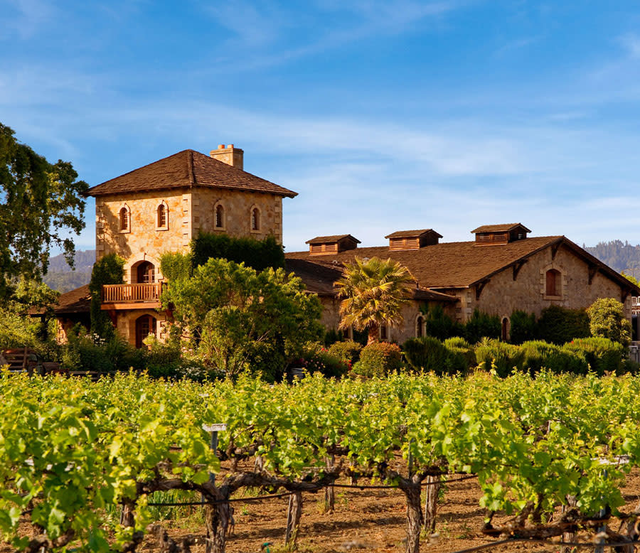 Napa Valley Wine Tour