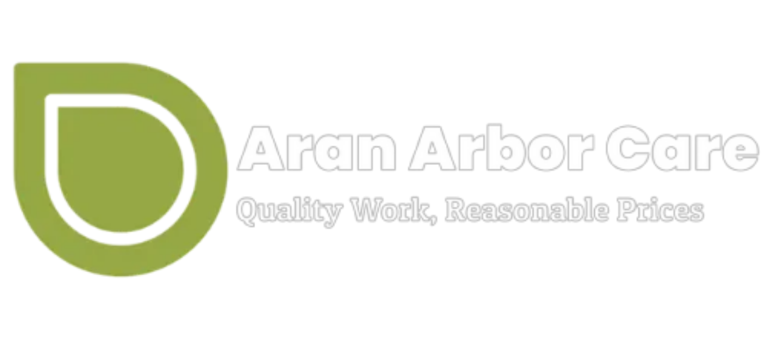 Rapid Rescue Rooter and Plumbing