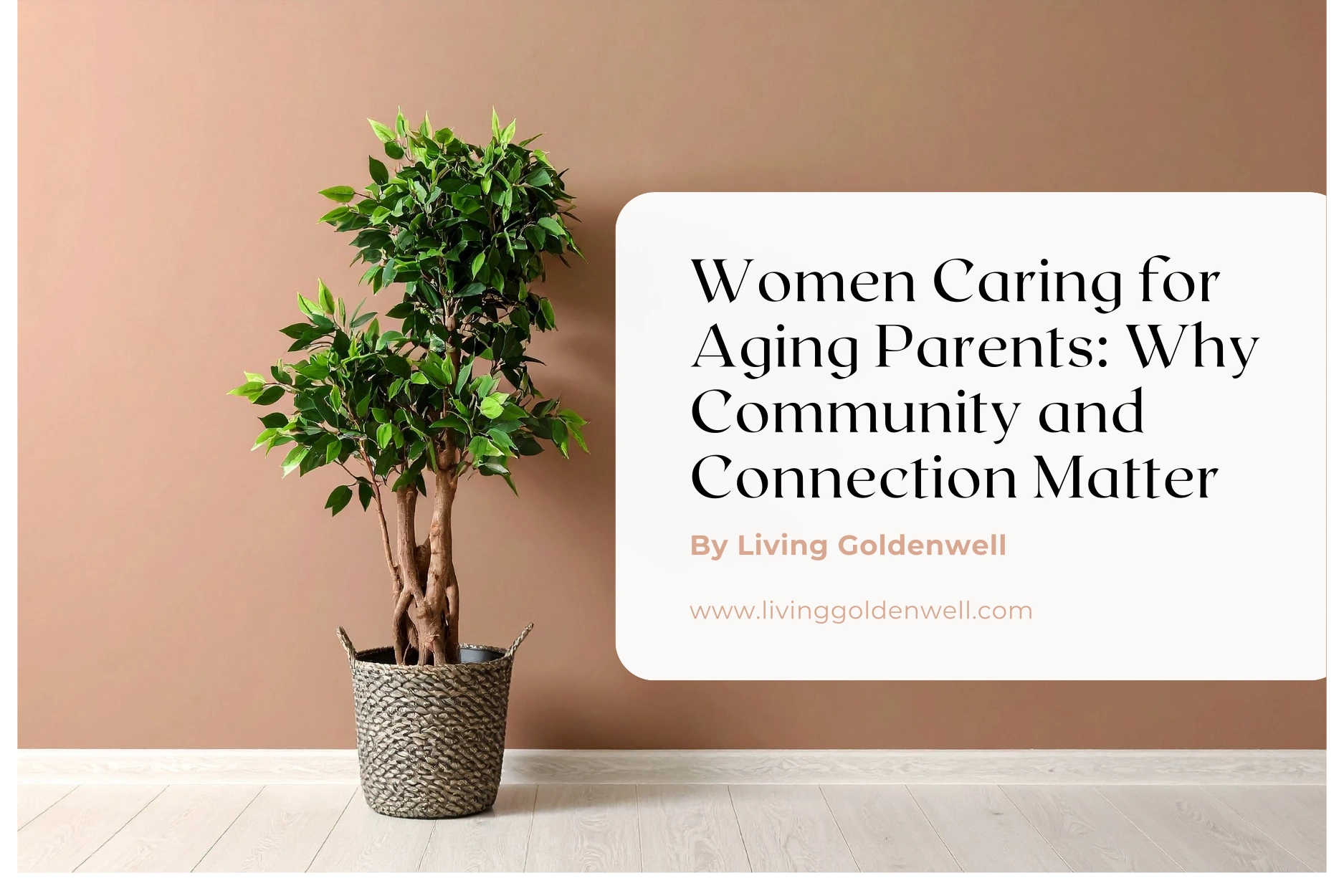 Women Caring for Aging Parents: Why Community and Connection Matter