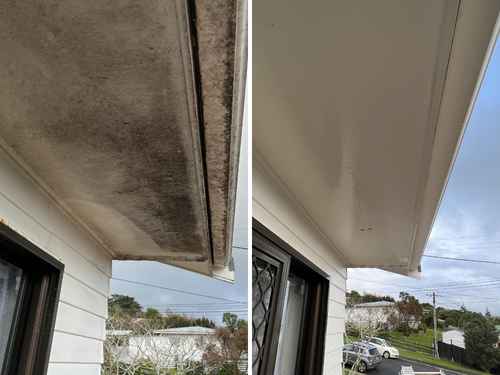 Roof Washing Doncaster East