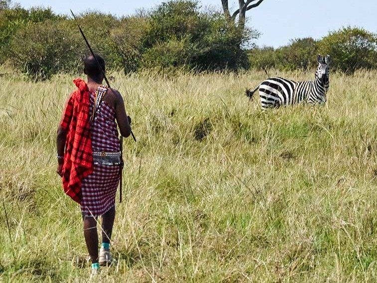 A guide leading guests on foot through the bush