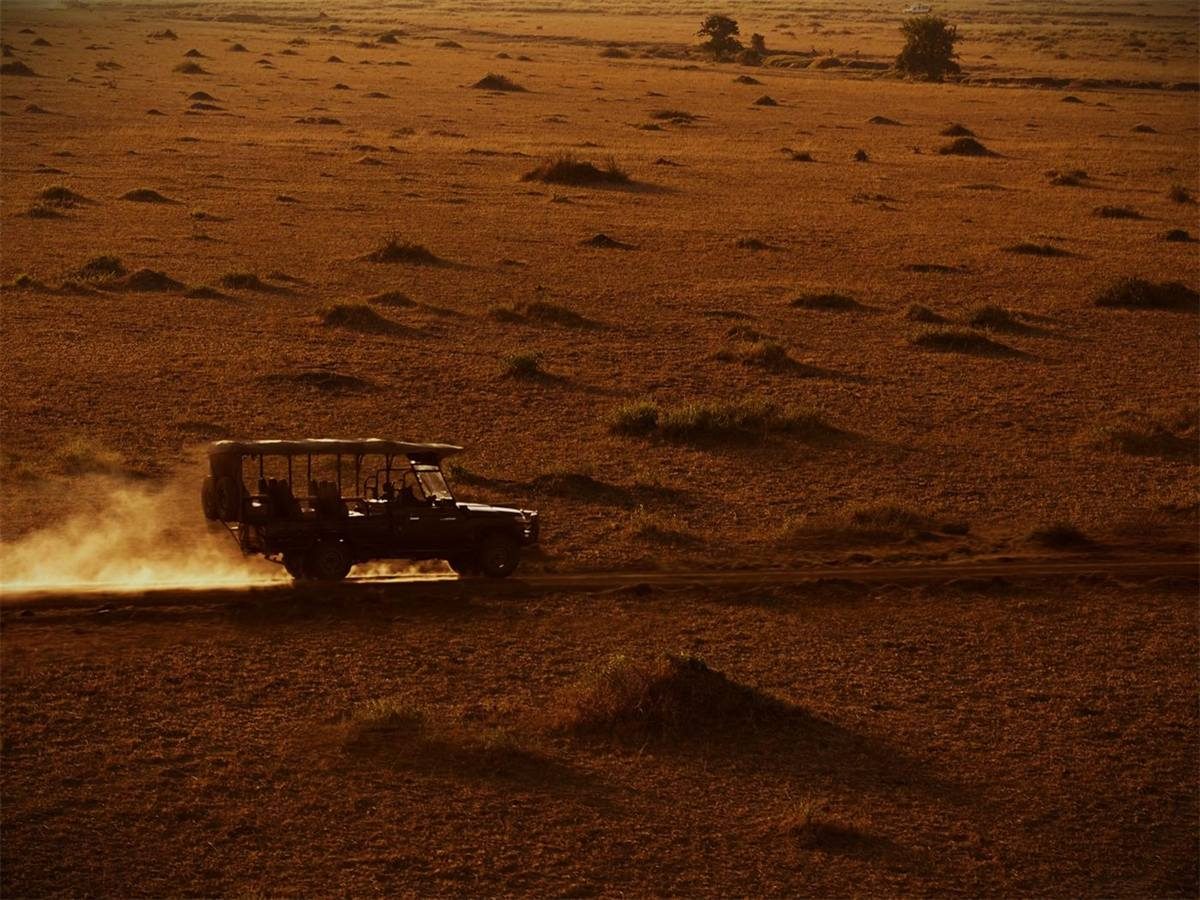 A safari vehicle under a spotlight on a night game drive