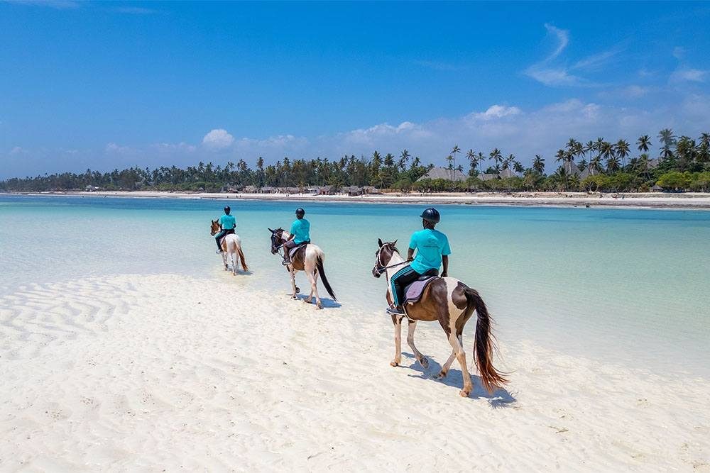 A horse and rider on the shoreline as the tide comes in