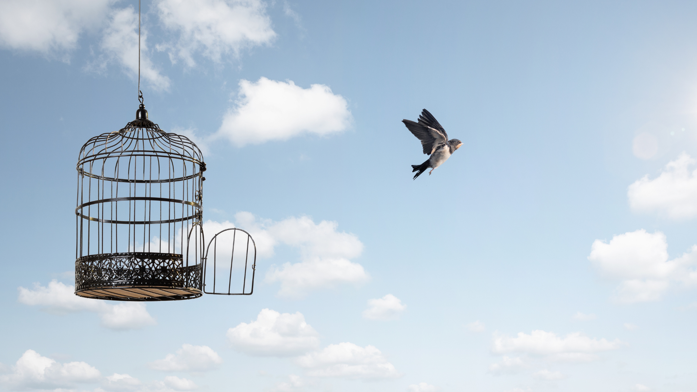 open cage