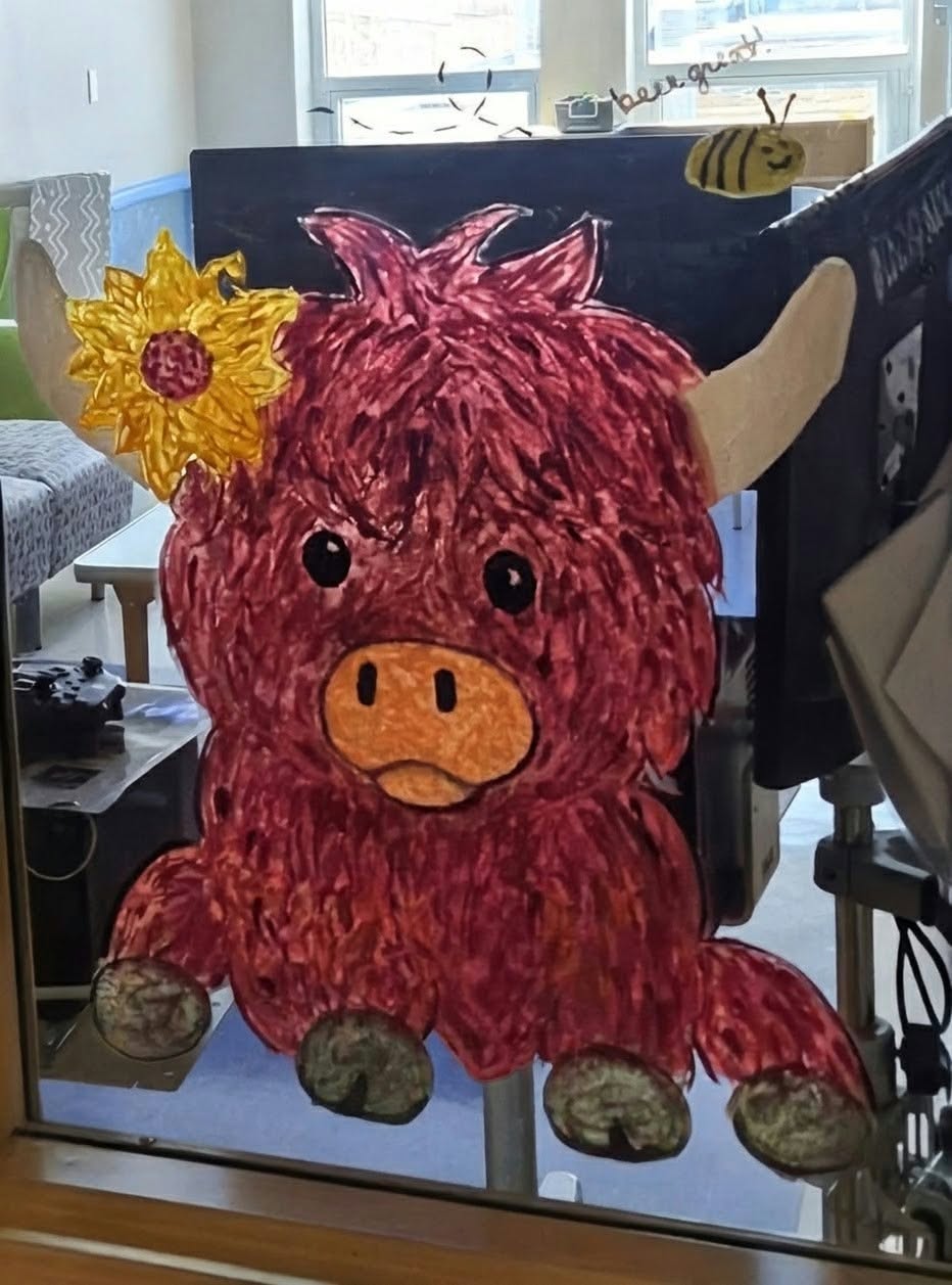 A baby highland cow with a sunflower, drawn on the window of the children's unit at Munson Medical Center