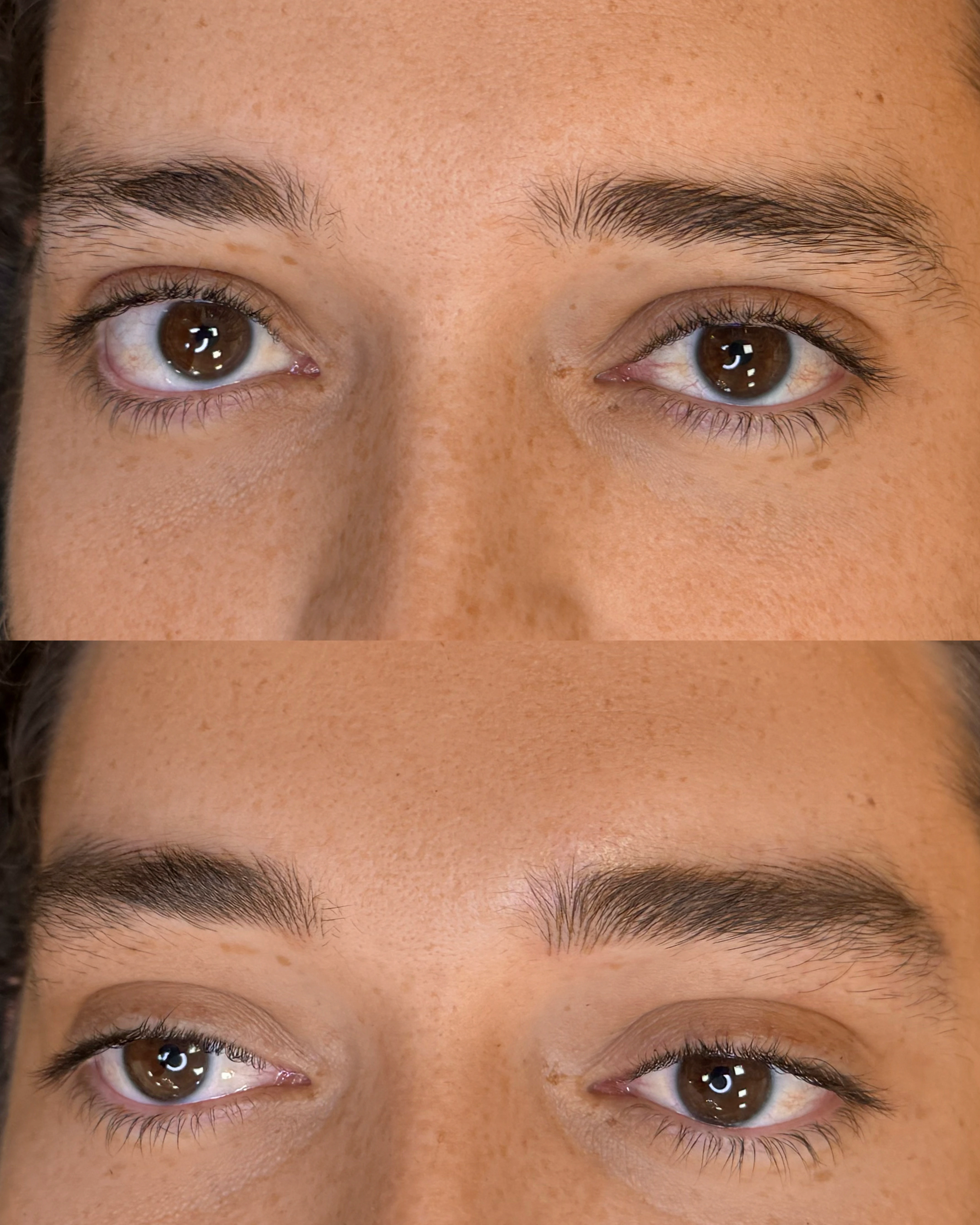 Fusion Brows gallery image 10