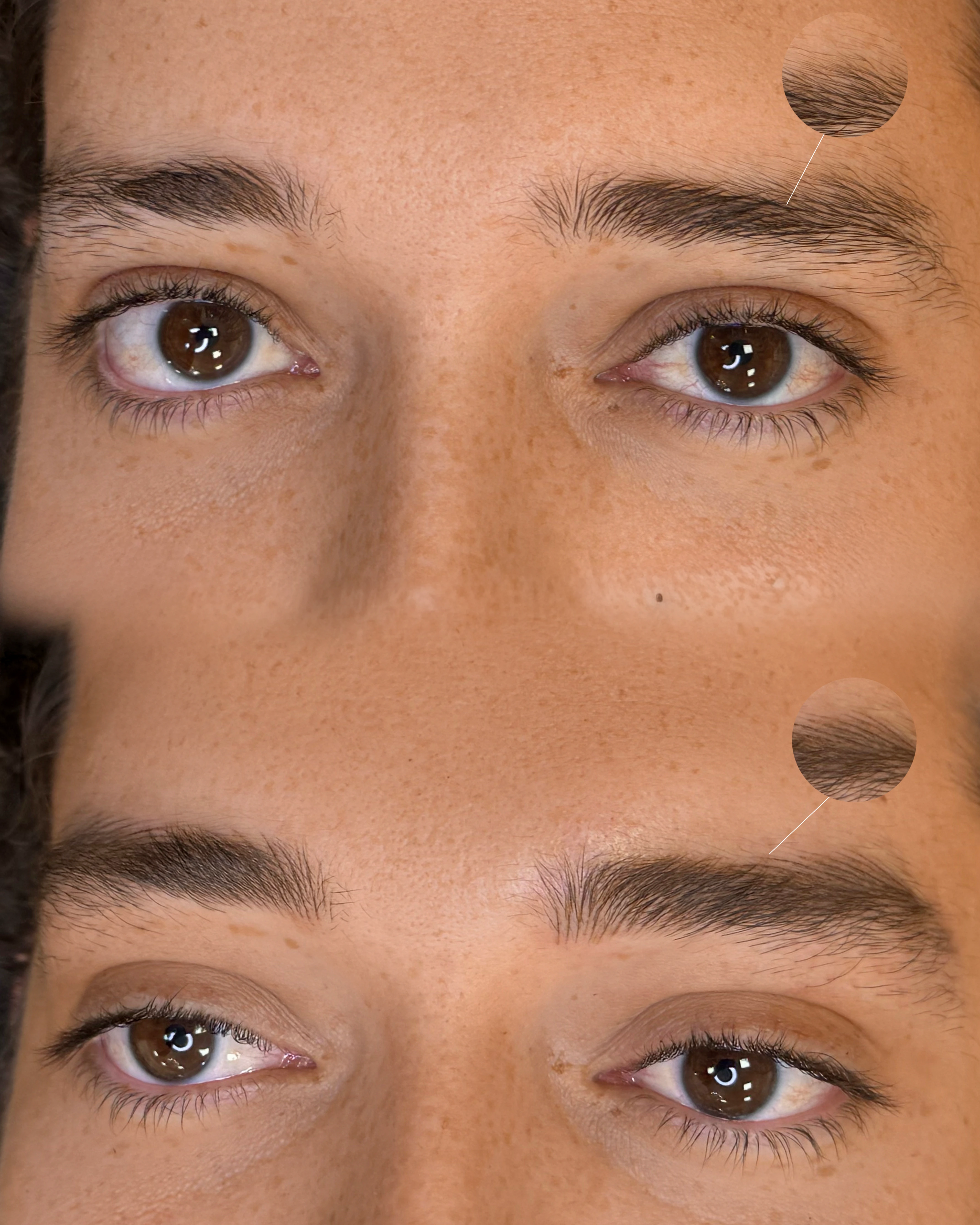 Fusion Brows gallery image 12