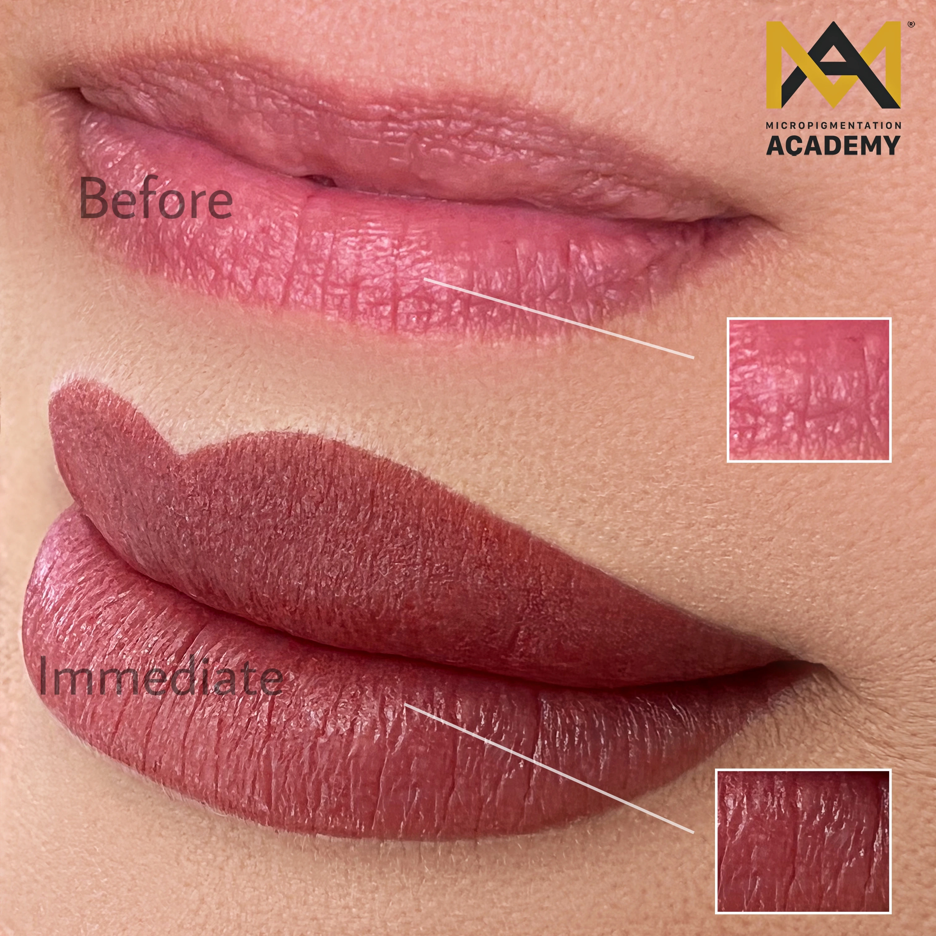 Fusion Brows gallery image 11